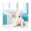 Pawfection - Puppy Dog Pet Training Pads 60 X 60cm 400pcs 2 Pawfection - Puppy Dog Pet Training Pads 60 X 60cm 400pcs -watering can shop 155901 Large