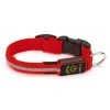 Nite Ize - Nite Dawg Light Up LED Dog Collar Small Red 2 Nite Ize - Nite Dawg Light Up LED Dog Collar Small Red -watering can shop 552657 Large
